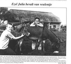 2002 Ezel Julia bevalt van veulentje 